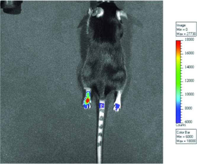 Figure 23