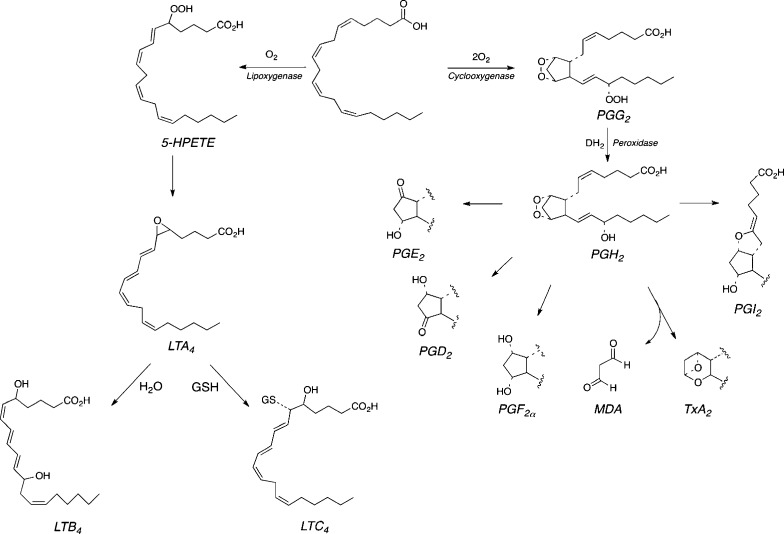 Figure 18