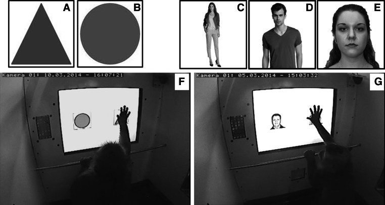 Fig. 2