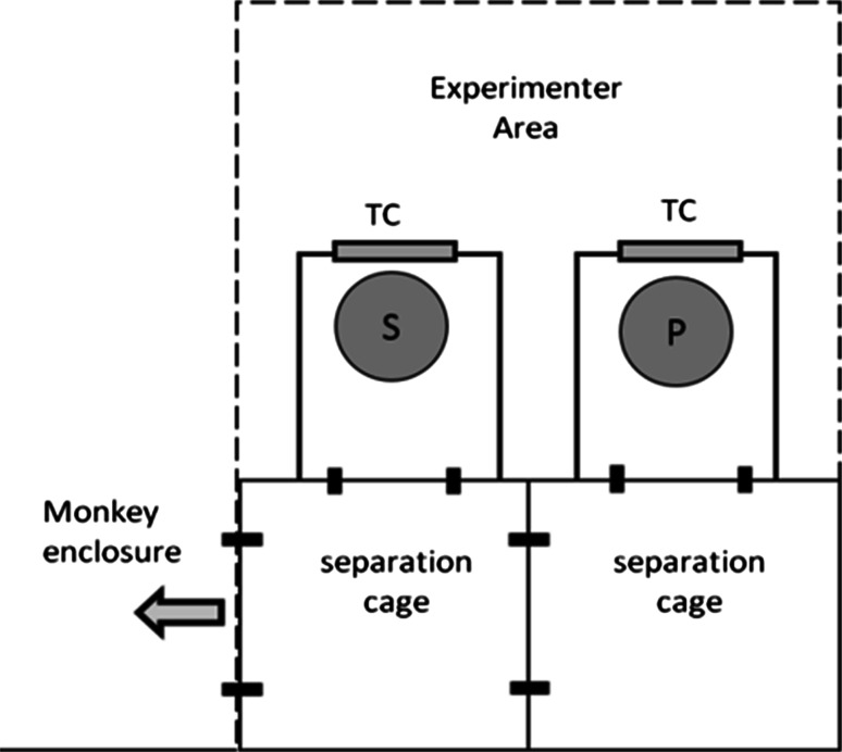 Fig. 1