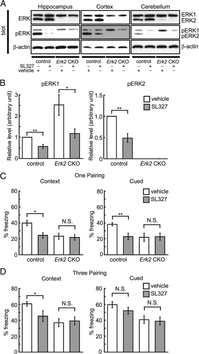 Figure 12.