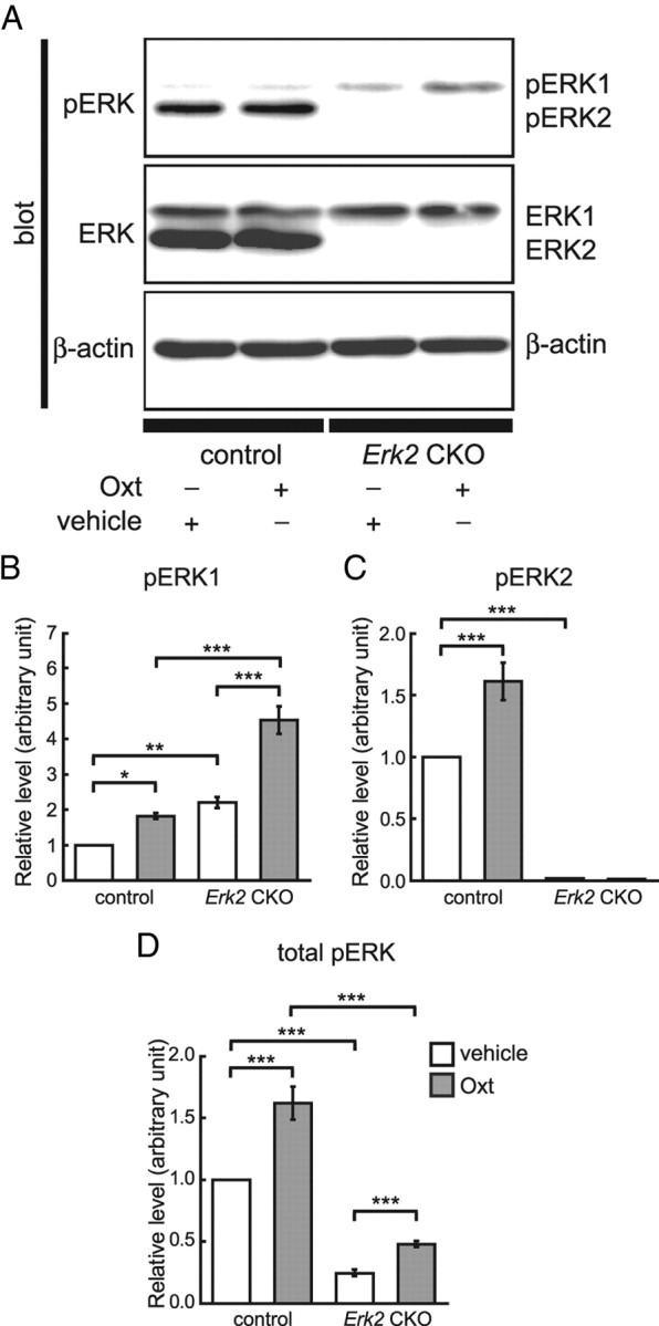 Figure 11.