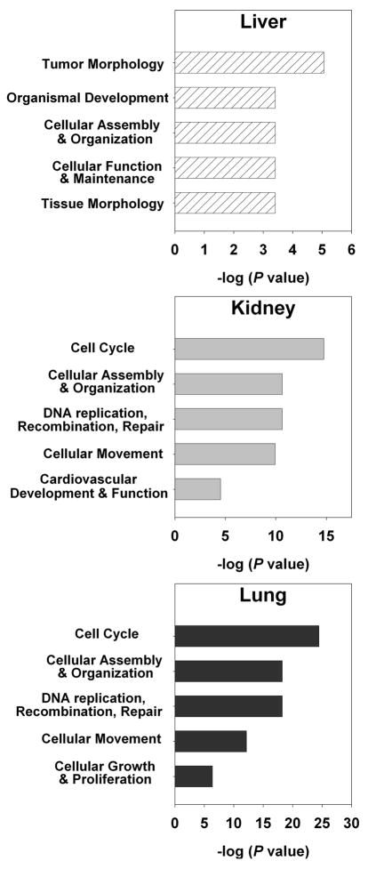 Fig 5