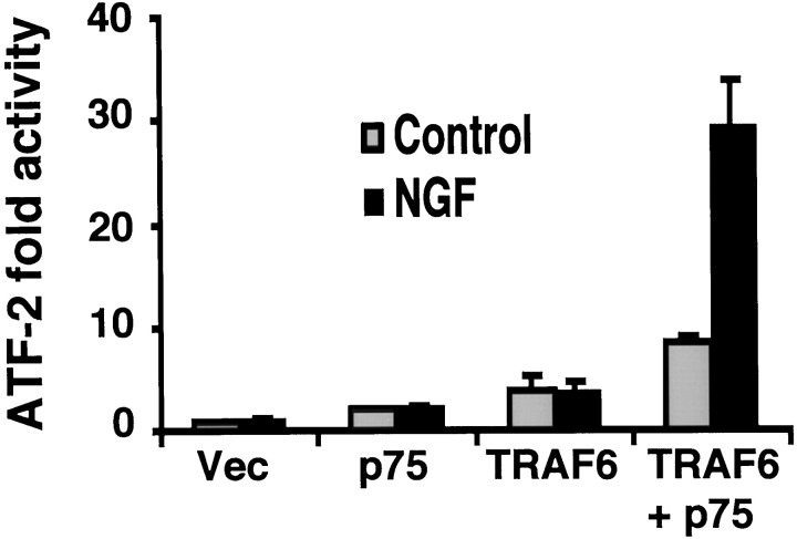 Fig. 9.