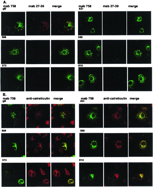 FIG. 7.