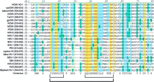 FIG. 10.