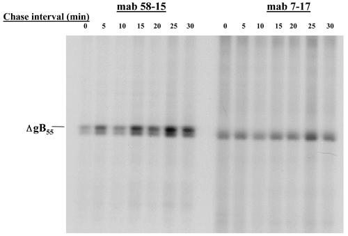 FIG. 5.