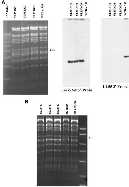 FIG. 9.