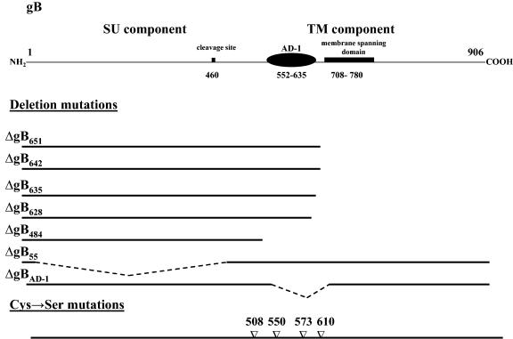 FIG. 1.