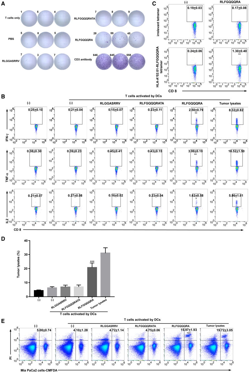 Figure 6