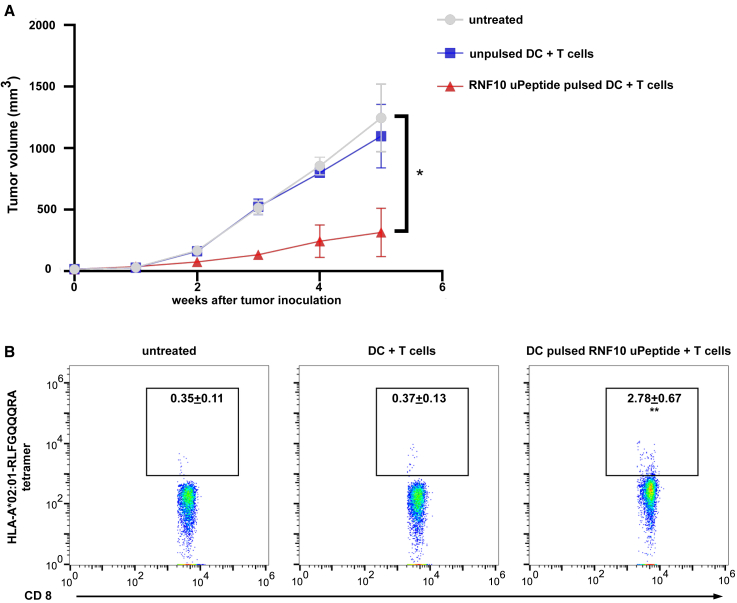 Figure 7