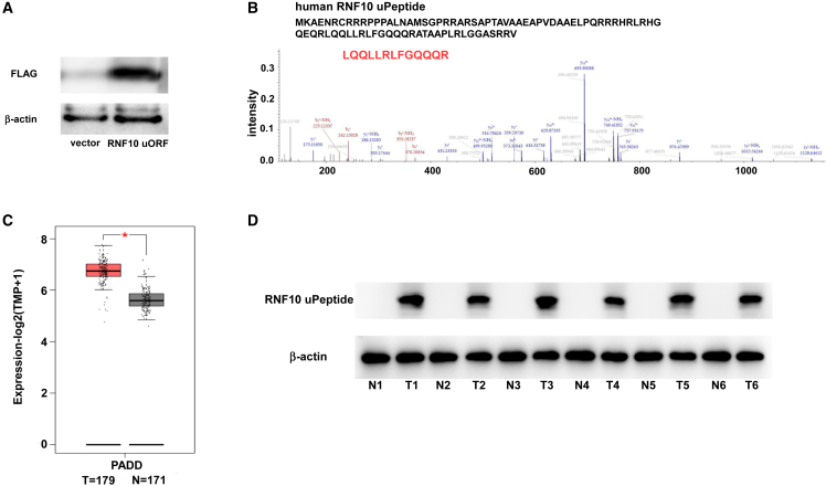 Figure 5