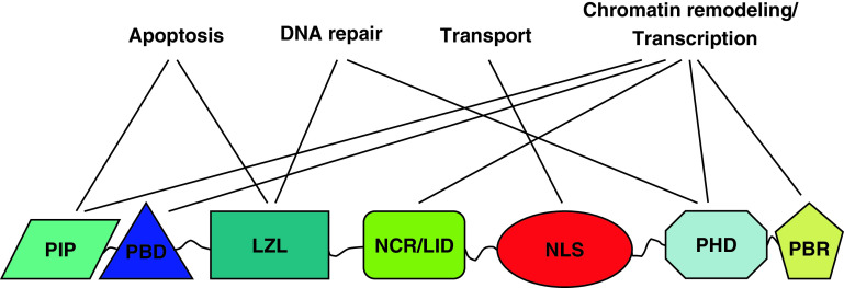 Fig. 1