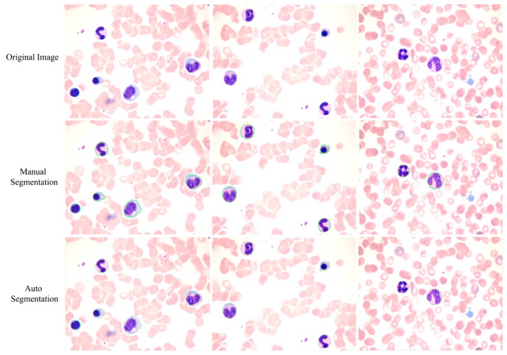 Figure 15.