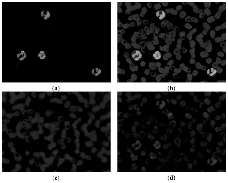 Figure 7.