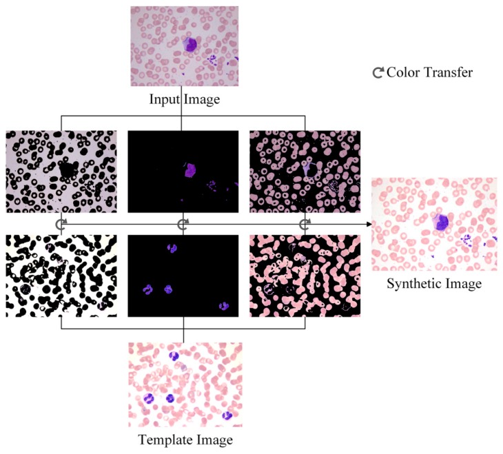 Figure 5.