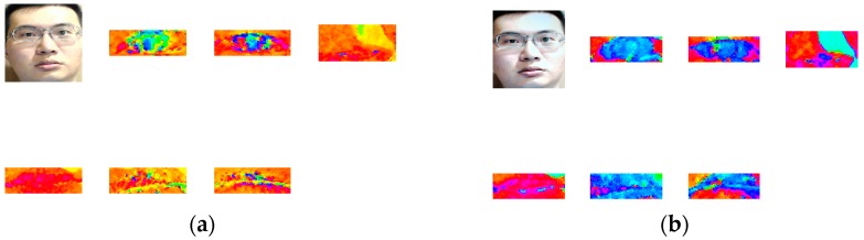 Figure 8