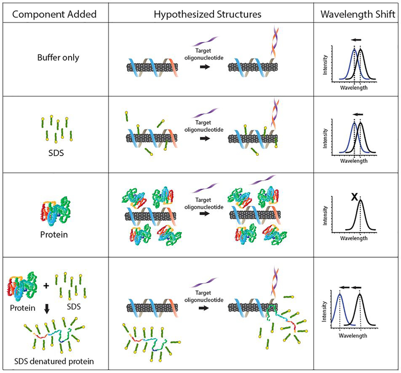 Figure 4: