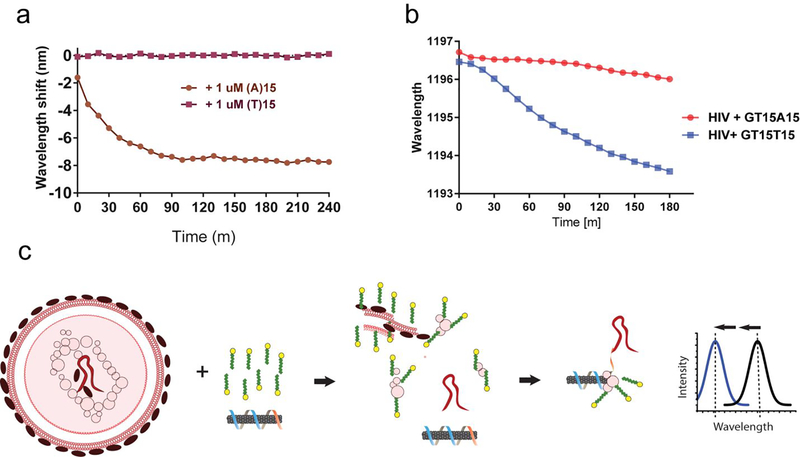 Figure 5: