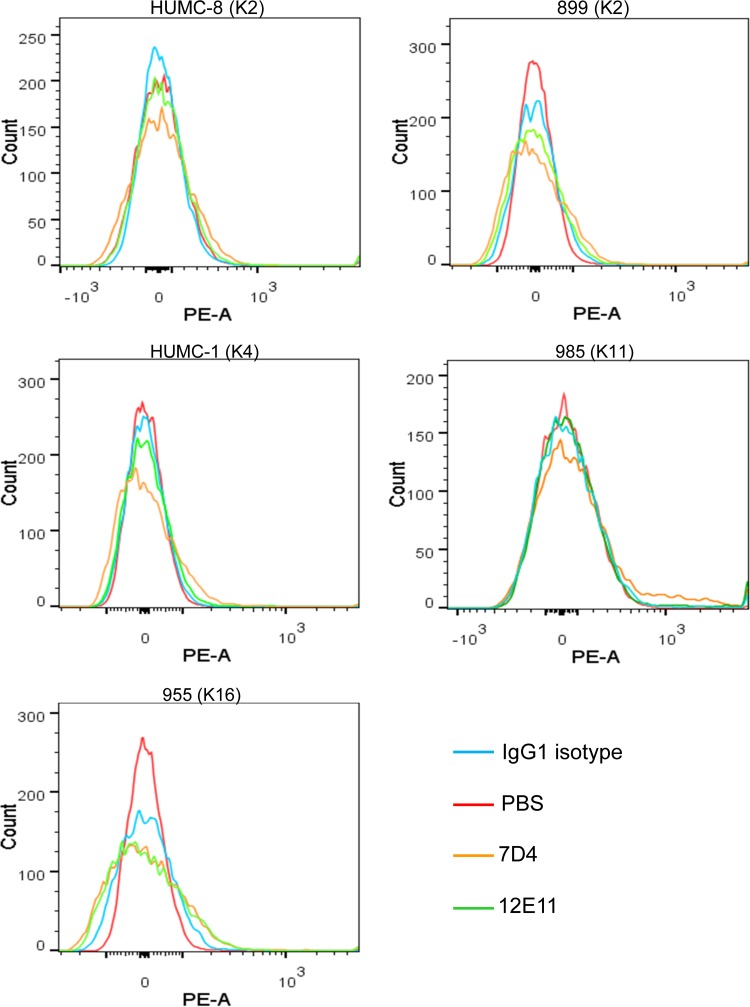 FIG 2