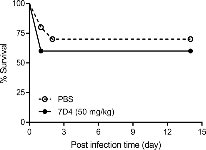 FIG 7