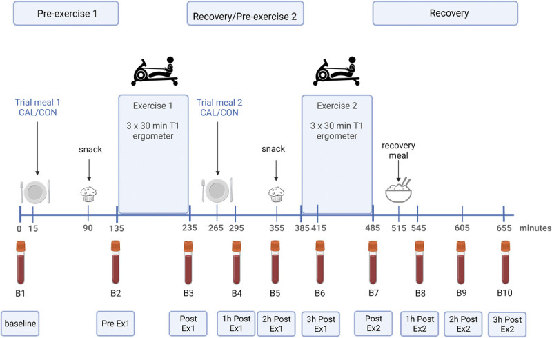 FIGURE 1