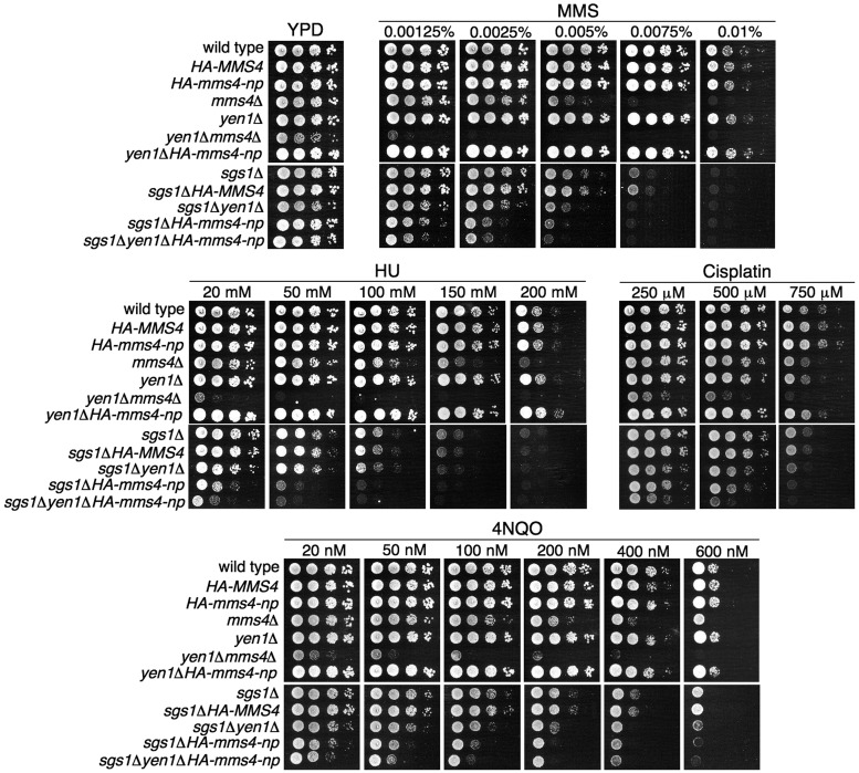 Figure 5.