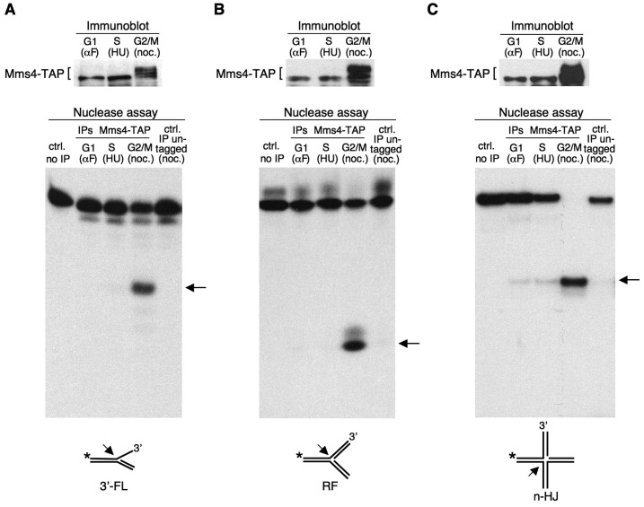 Figure 3.