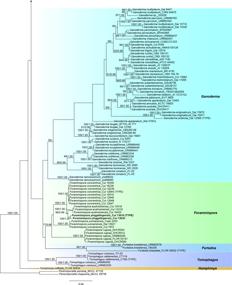 Fig. 2