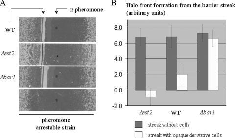 FIG. 8.