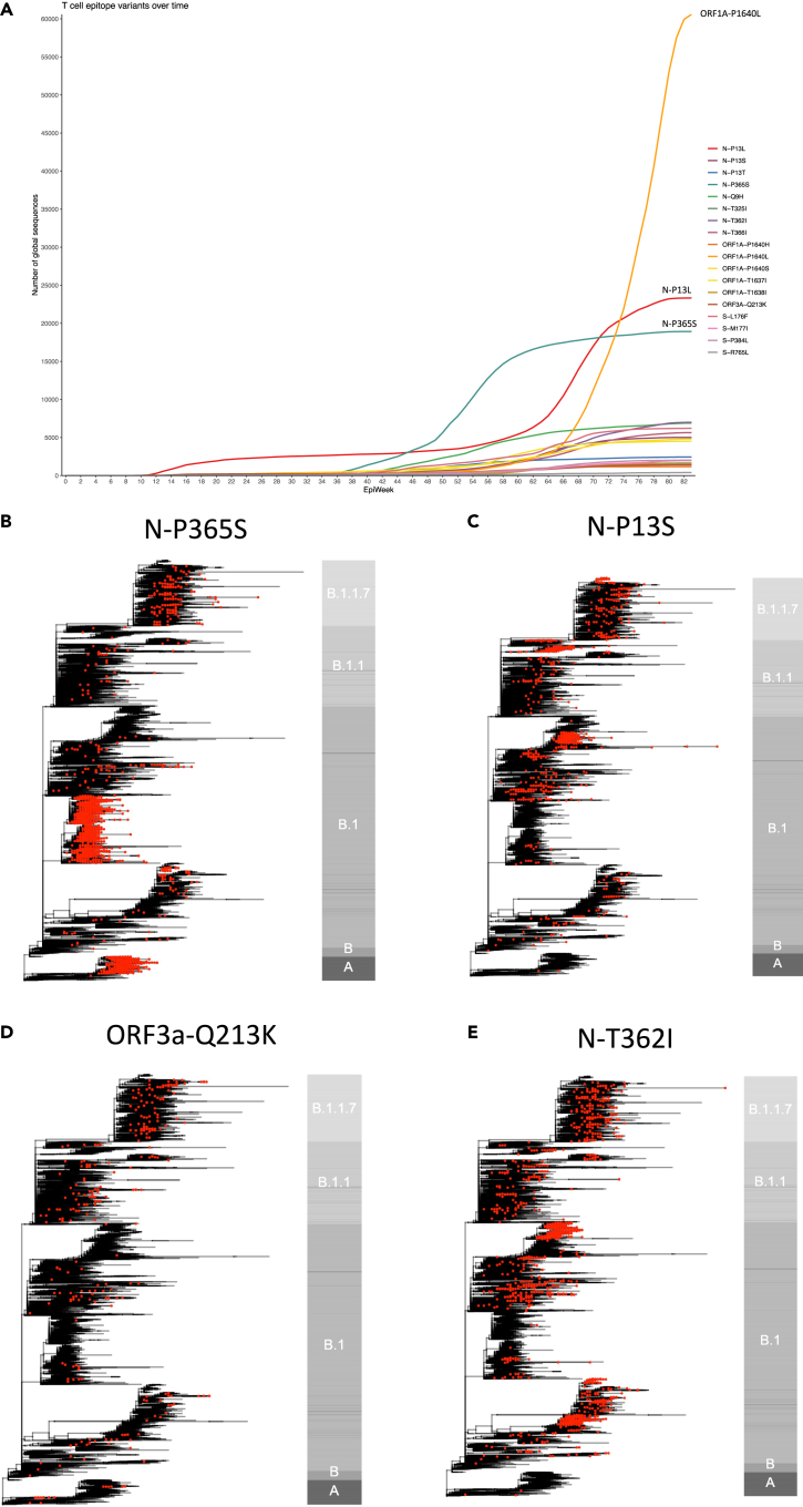 Figure 3