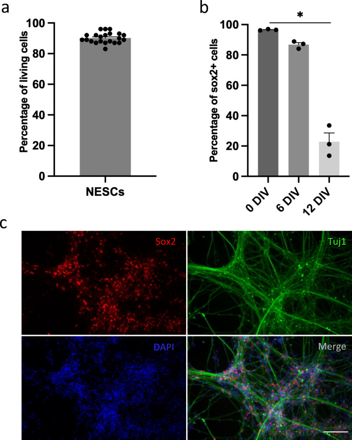 Figure1