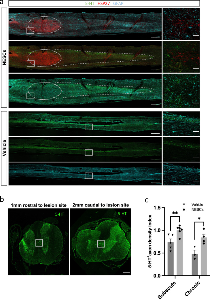 Figure6