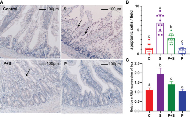 Figure 6