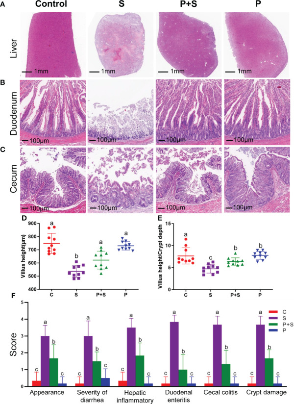 Figure 2