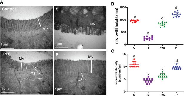 Figure 3