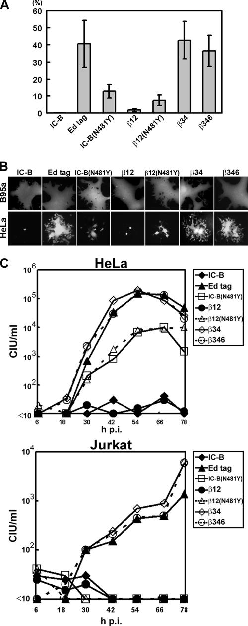 FIG. 2.