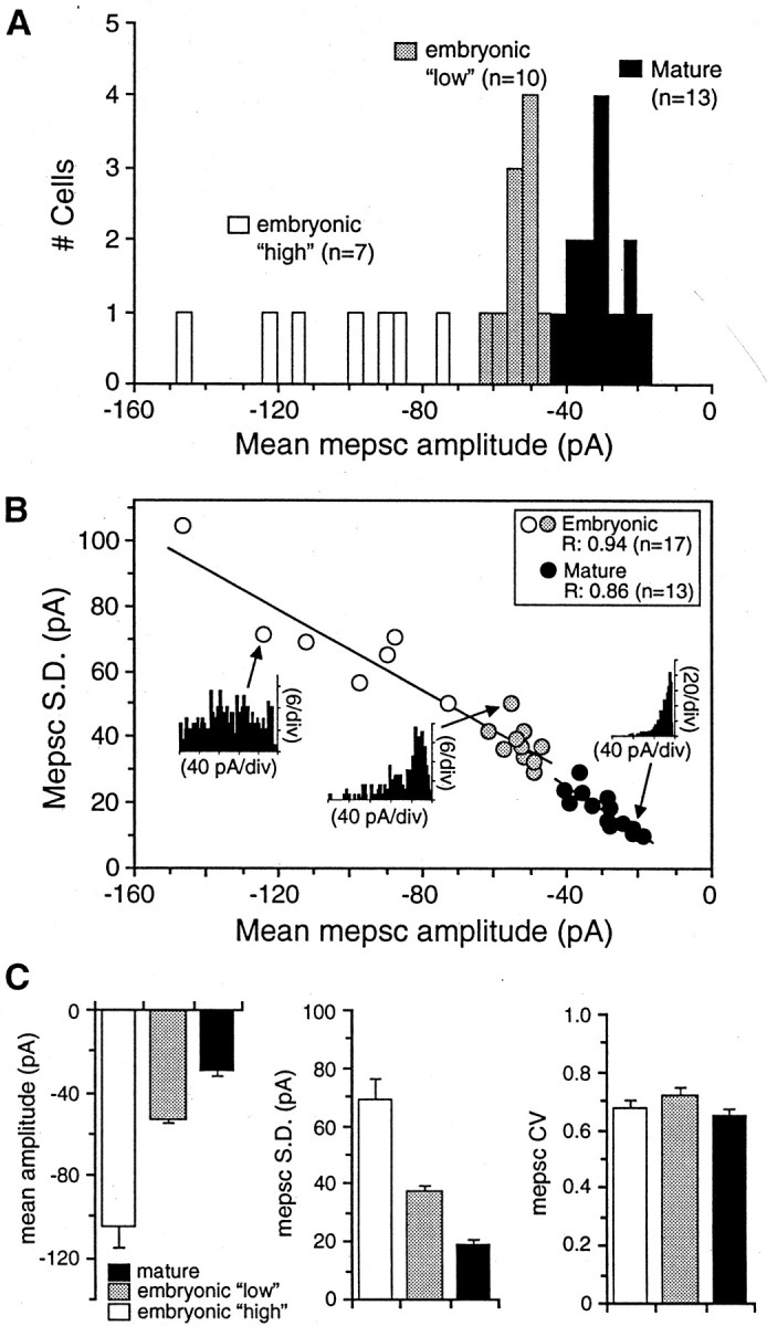 Fig. 8.