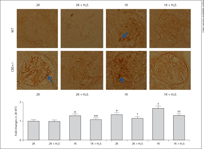 Fig. 11