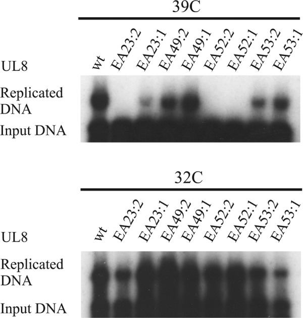 FIGURE 9.