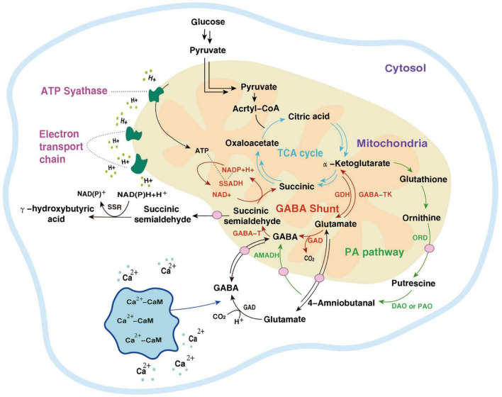 FIGURE 3