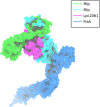Figure 6