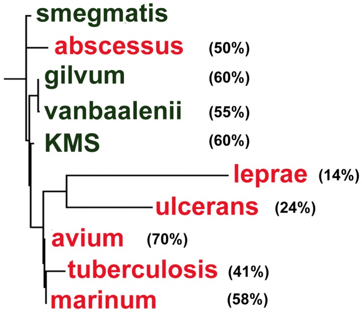 Figure 7