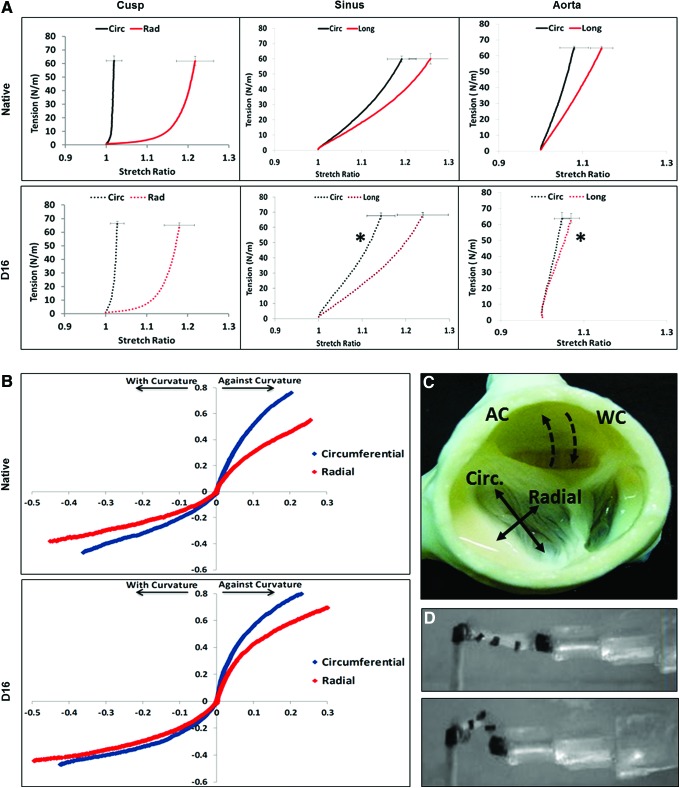 FIG. 7.