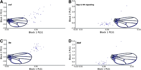 Figure 4.—