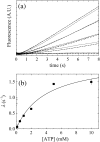 Fig. 5