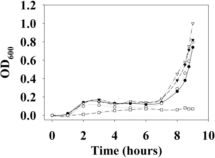 FIGURE 13