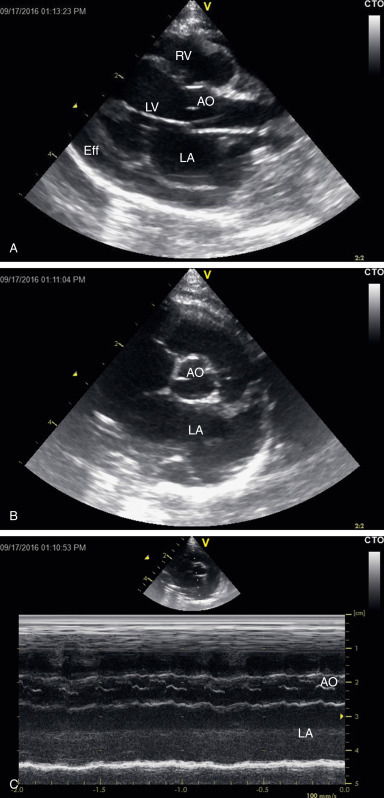 Fig. 19.3