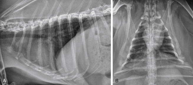 Fig. 19.1
