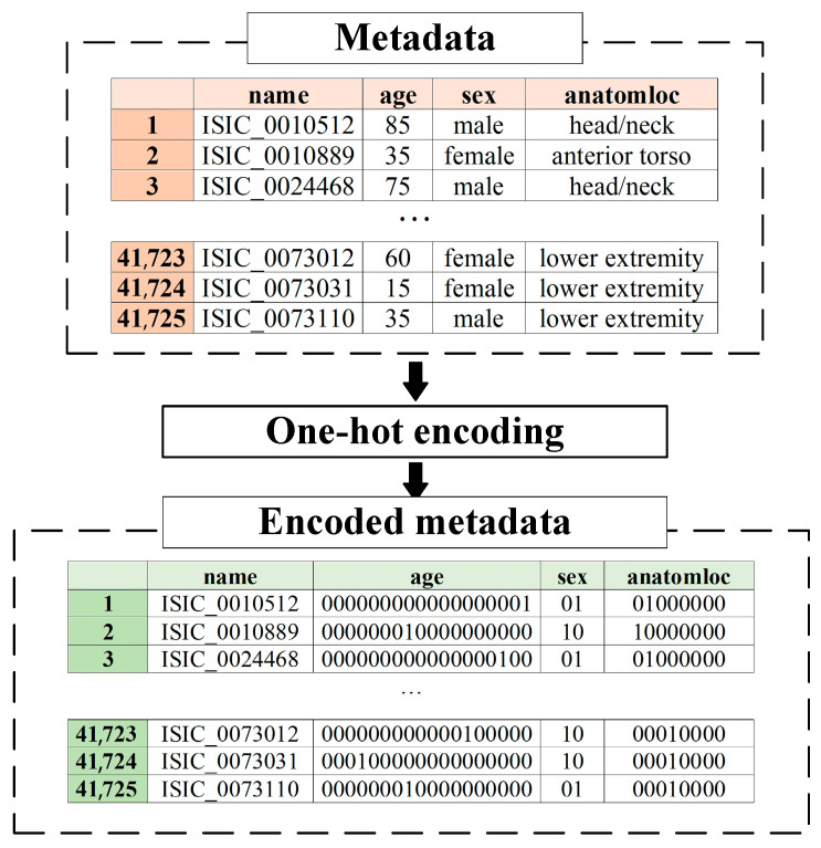 Figure 10